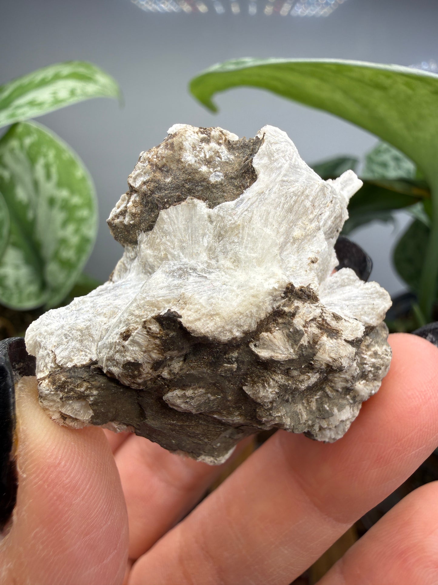 Probertite- Lang Mine, Tick Canyon Borate deposit, Tick Canyon, Lang, Los Angeles, California, USA