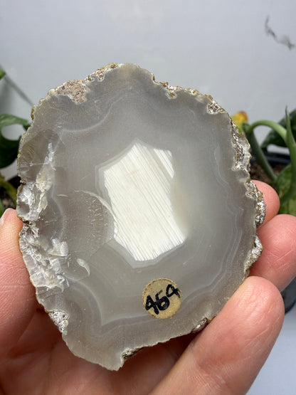 Polished Banded Agate Slice