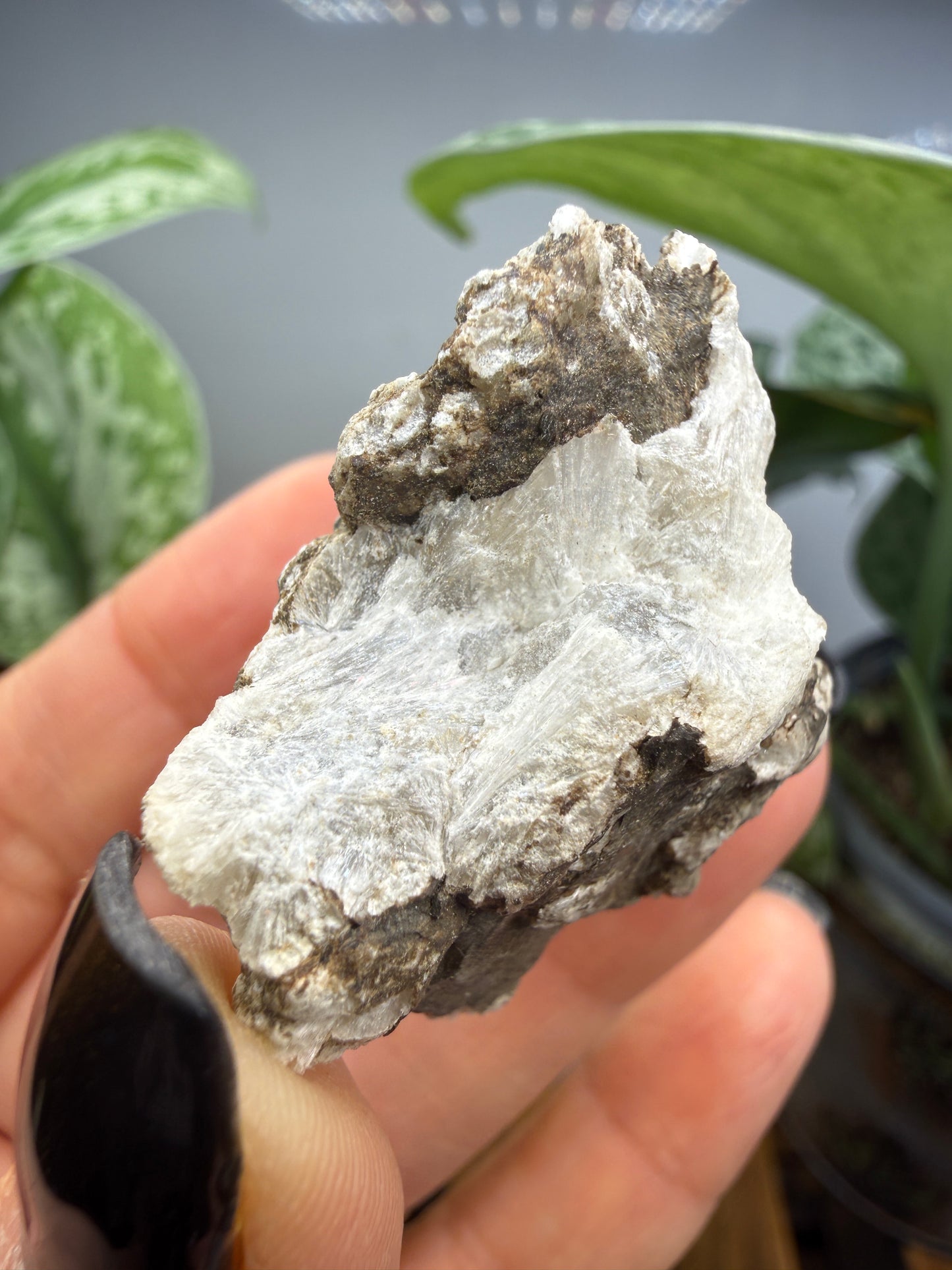 Probertite- Lang Mine, Tick Canyon Borate deposit, Tick Canyon, Lang, Los Angeles, California, USA