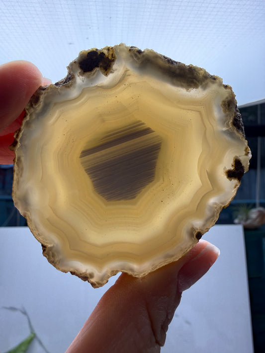 Polished Banded Agate Slice