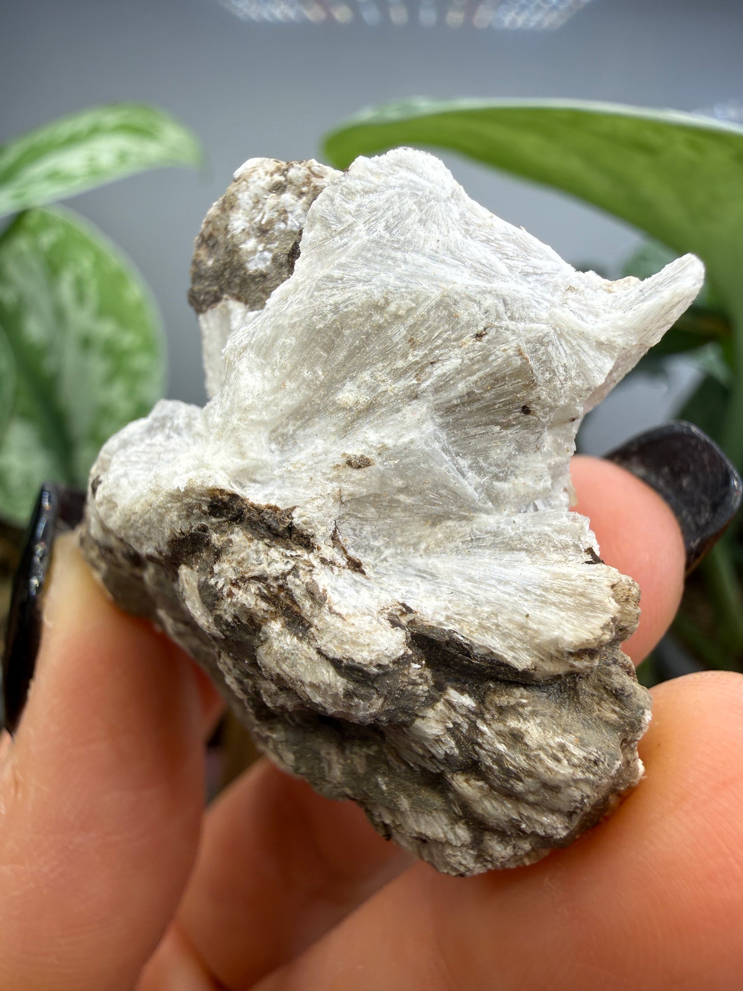 Probertite- Lang Mine, Tick Canyon Borate deposit, Tick Canyon, Lang, Los Angeles, California, USA