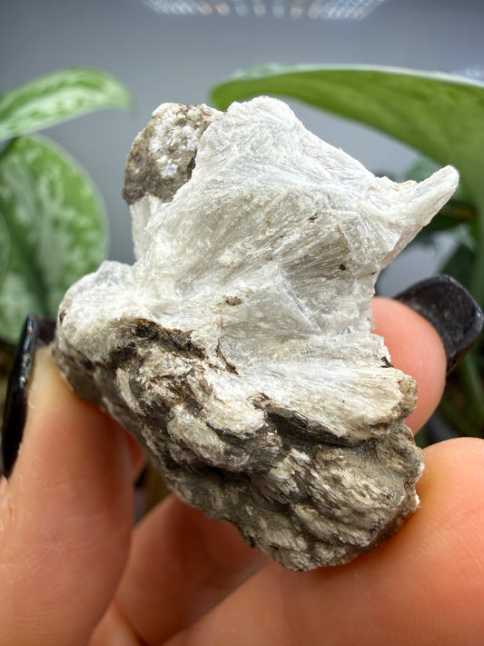 Probertite- Lang Mine, Tick Canyon Borate deposit, Tick Canyon, Lang, Los Angeles, California, USA