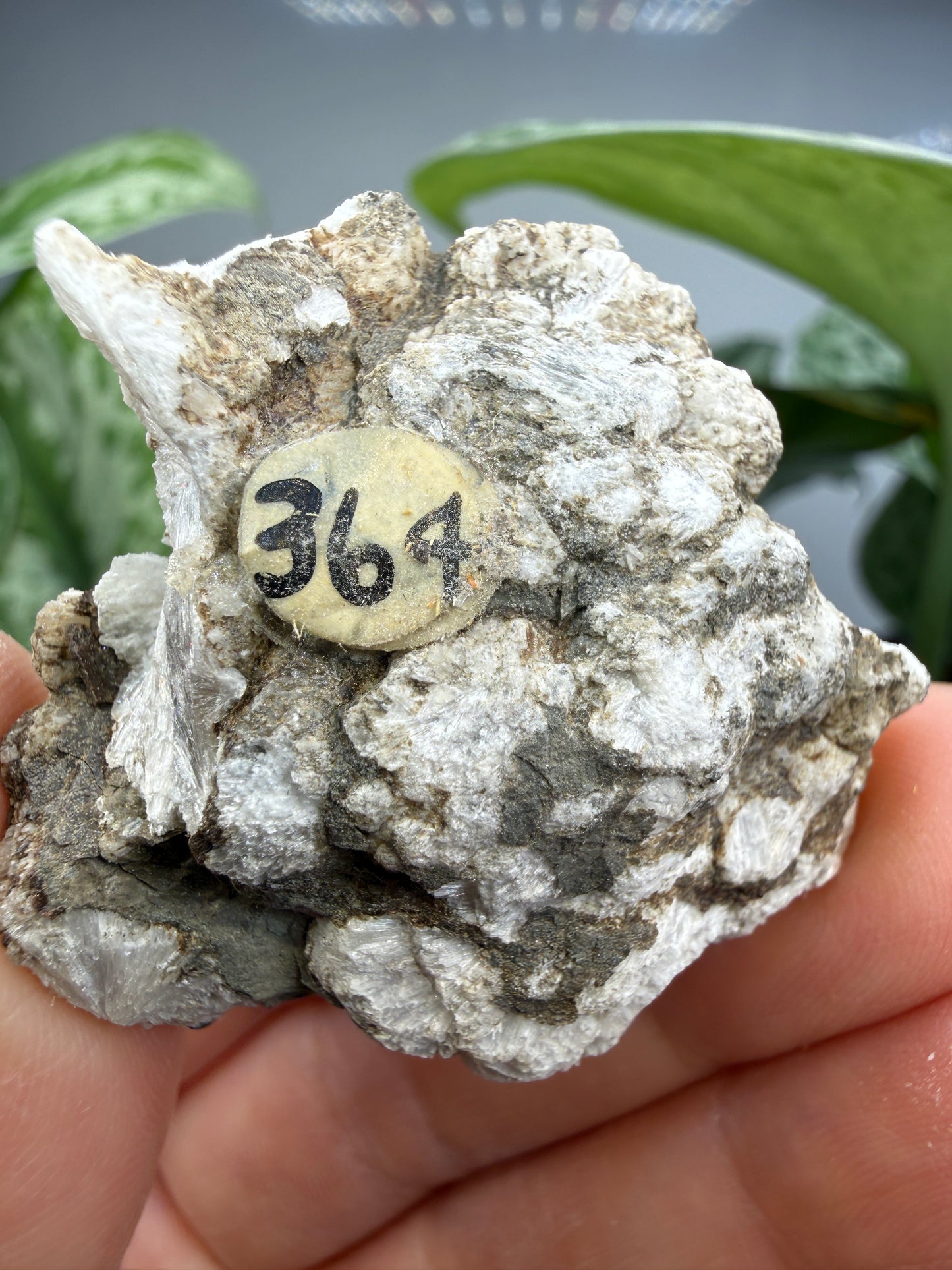 Probertite- Lang Mine, Tick Canyon Borate deposit, Tick Canyon, Lang, Los Angeles, California, USA