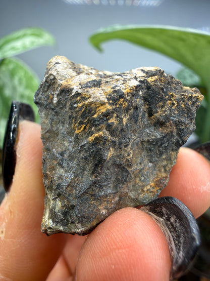 Hedenbergite- Graphic-Waldo Mine, Magdalena Mining District, Socorro County, New Mexico, USA