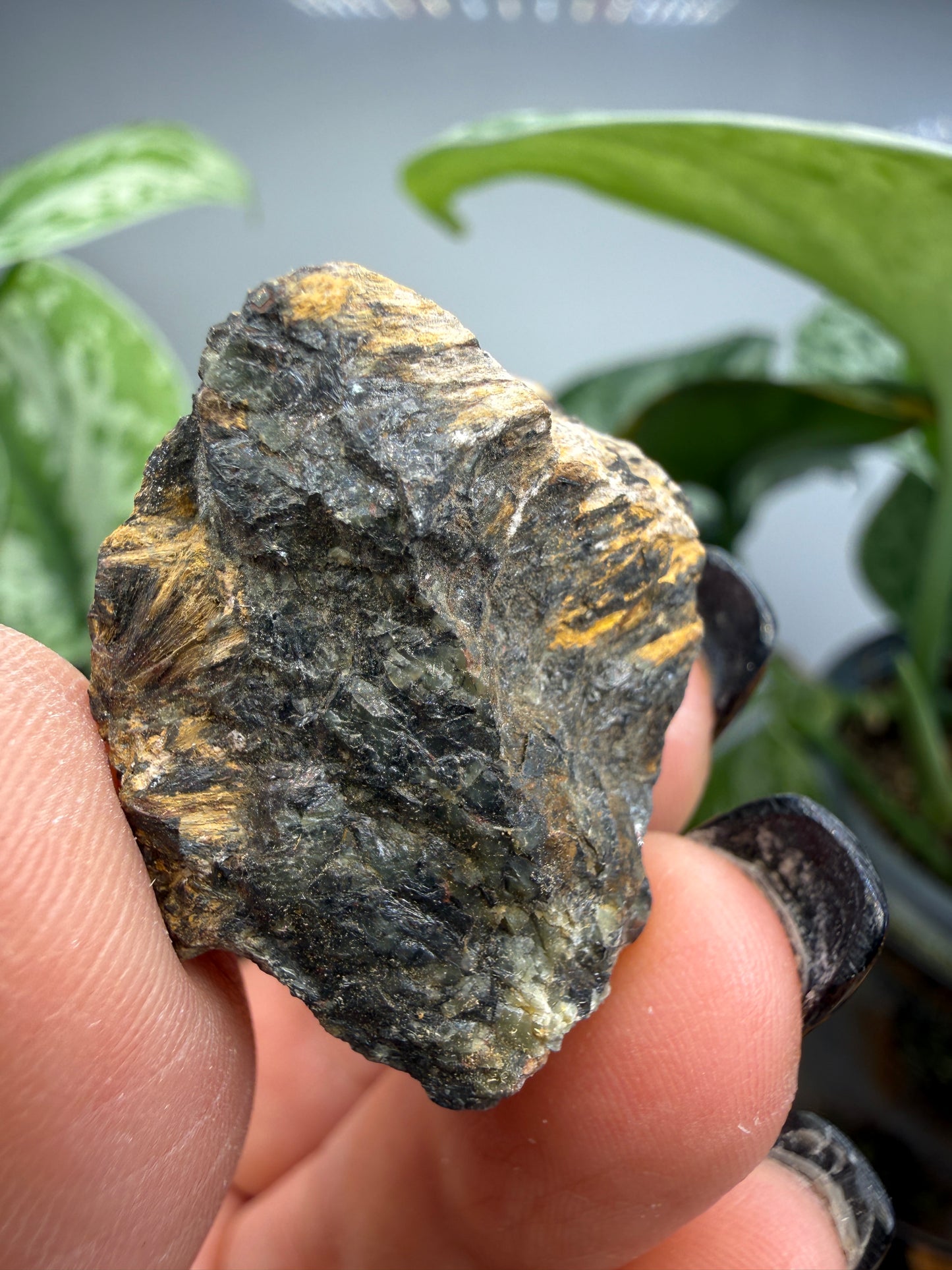 Hedenbergite- Graphic-Waldo Mine, Magdalena Mining District, Socorro County, New Mexico, USA