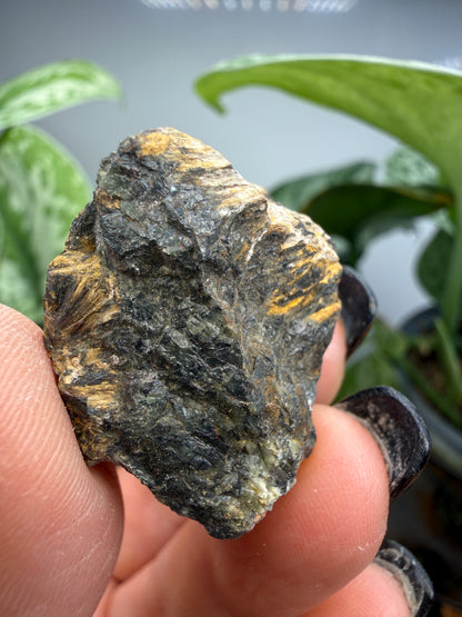 Hedenbergite- Graphic-Waldo Mine, Magdalena Mining District, Socorro County, New Mexico, USA