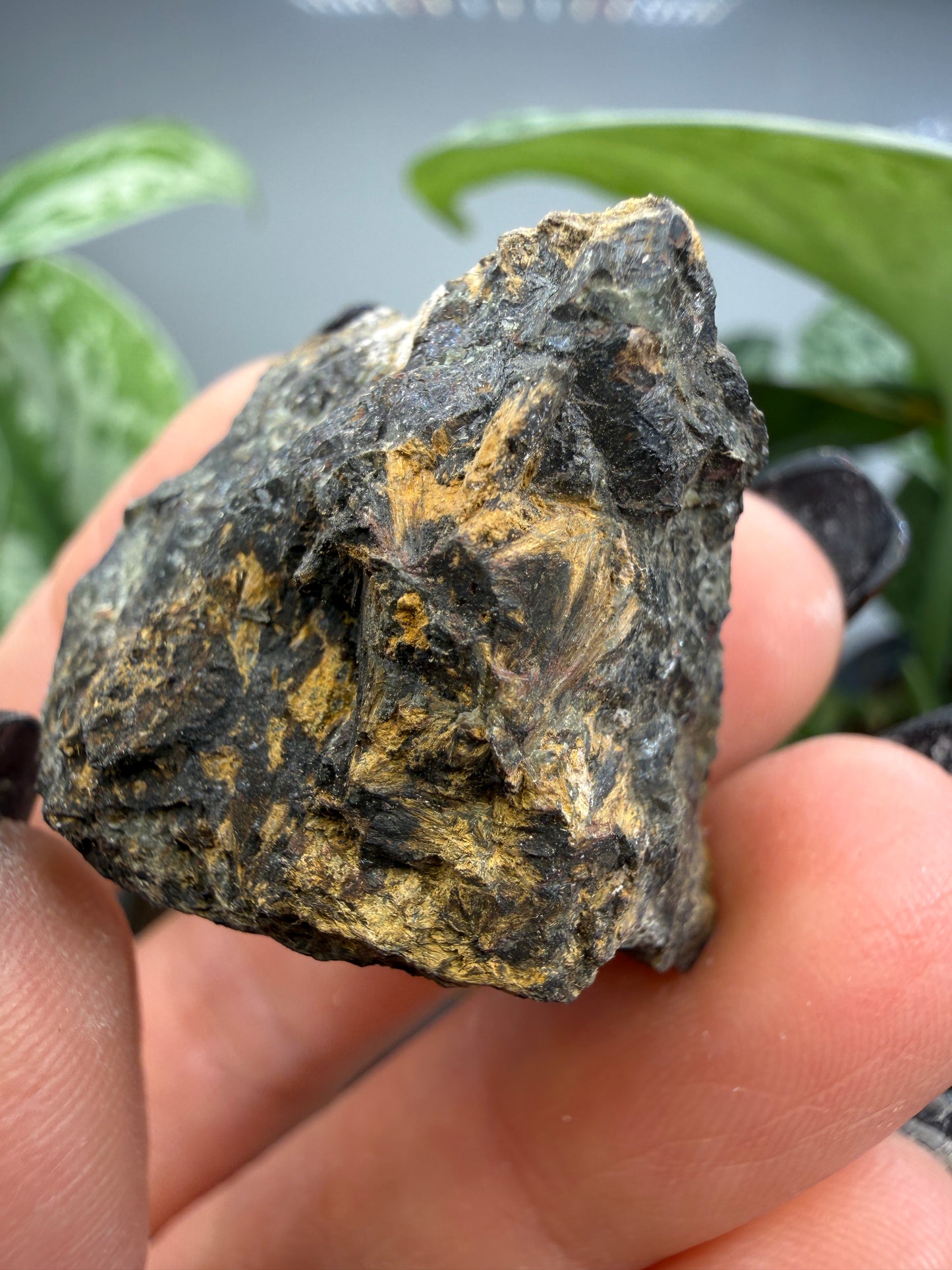 Hedenbergite- Graphic-Waldo Mine, Magdalena Mining District, Socorro County, New Mexico, USA