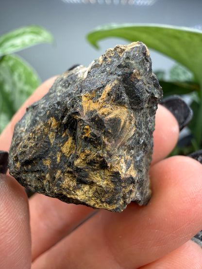 Hedenbergite- Graphic-Waldo Mine, Magdalena Mining District, Socorro County, New Mexico, USA