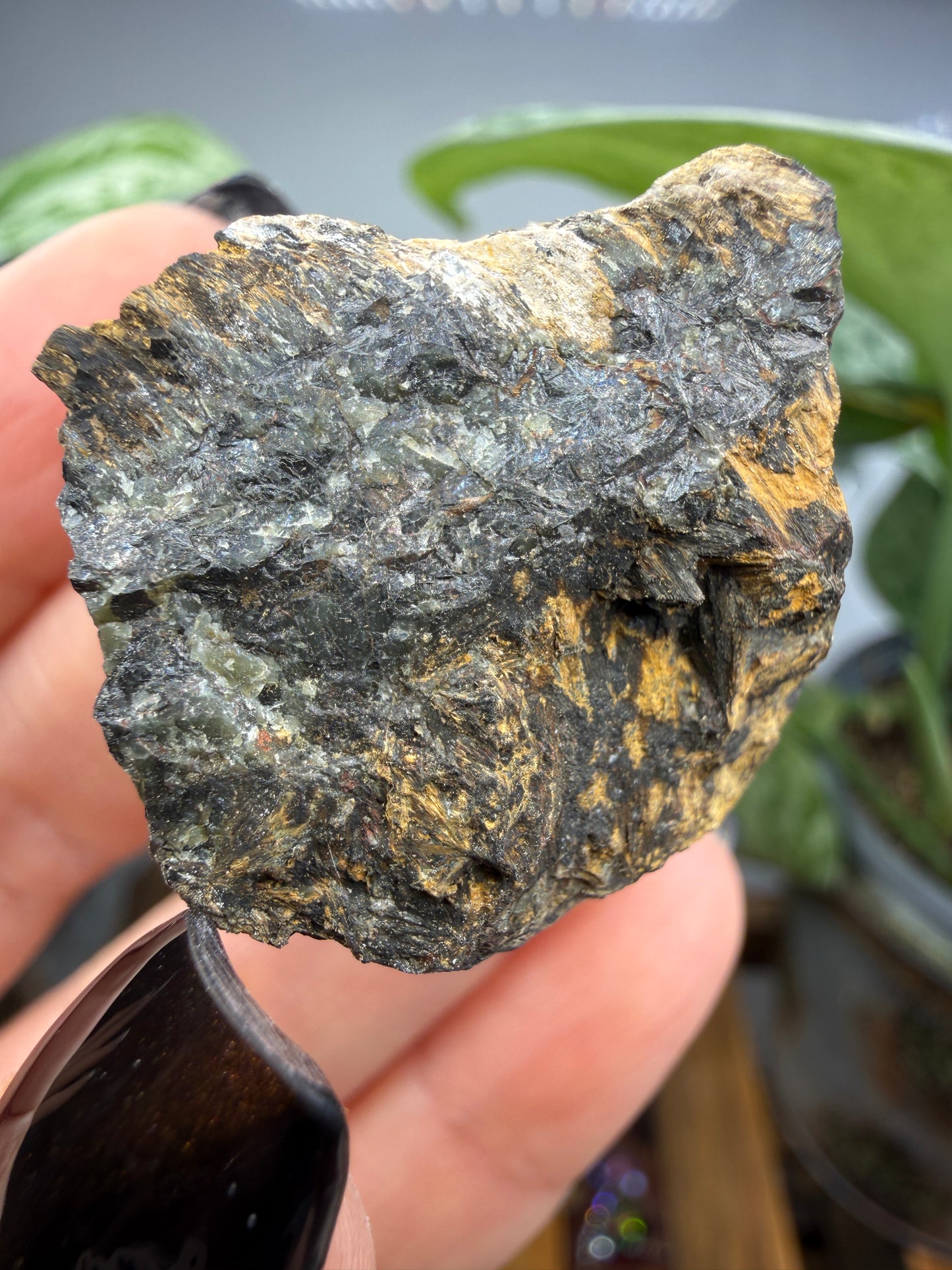 Hedenbergite- Graphic-Waldo Mine, Magdalena Mining District, Socorro County, New Mexico, USA