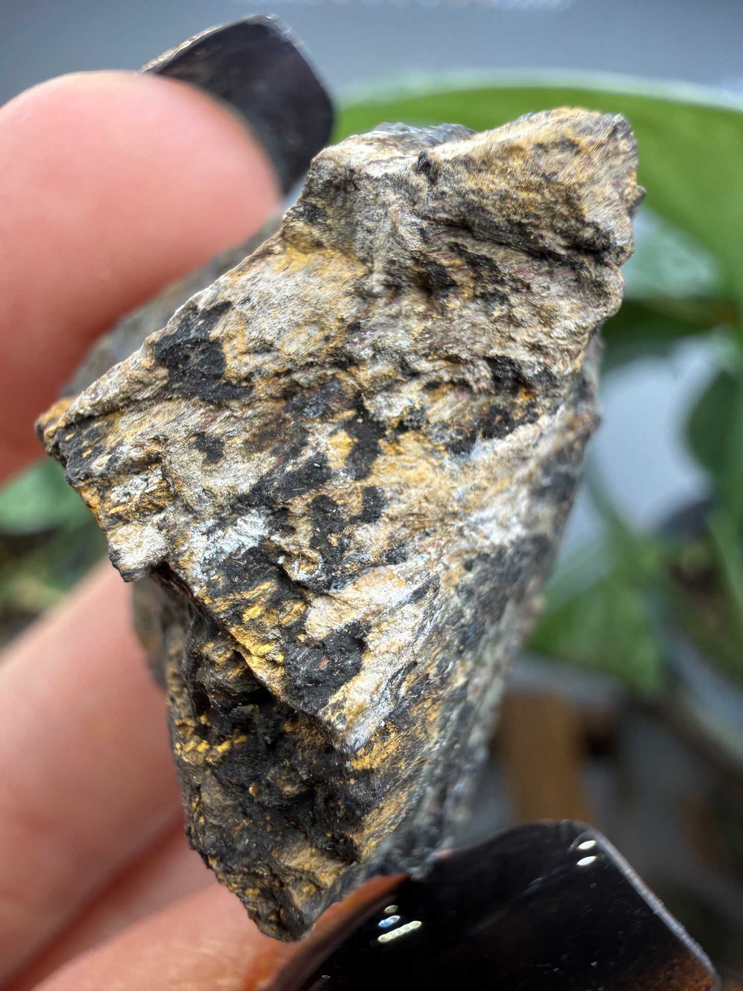 Hedenbergite- Graphic-Waldo Mine, Magdalena Mining District, Socorro County, New Mexico, USA