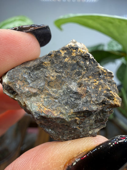 Hedenbergite- Graphic-Waldo Mine, Magdalena Mining District, Socorro County, New Mexico, USA