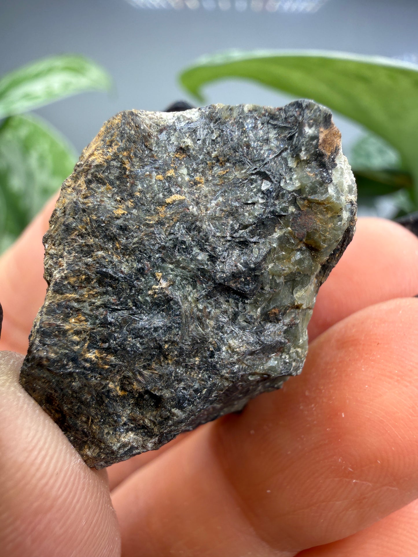 Hedenbergite- Graphic-Waldo Mine, Magdalena Mining District, Socorro County, New Mexico, USA