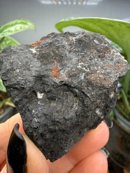 Coronadite- Defense Mine, Lookout Mining District, Inyo County, California