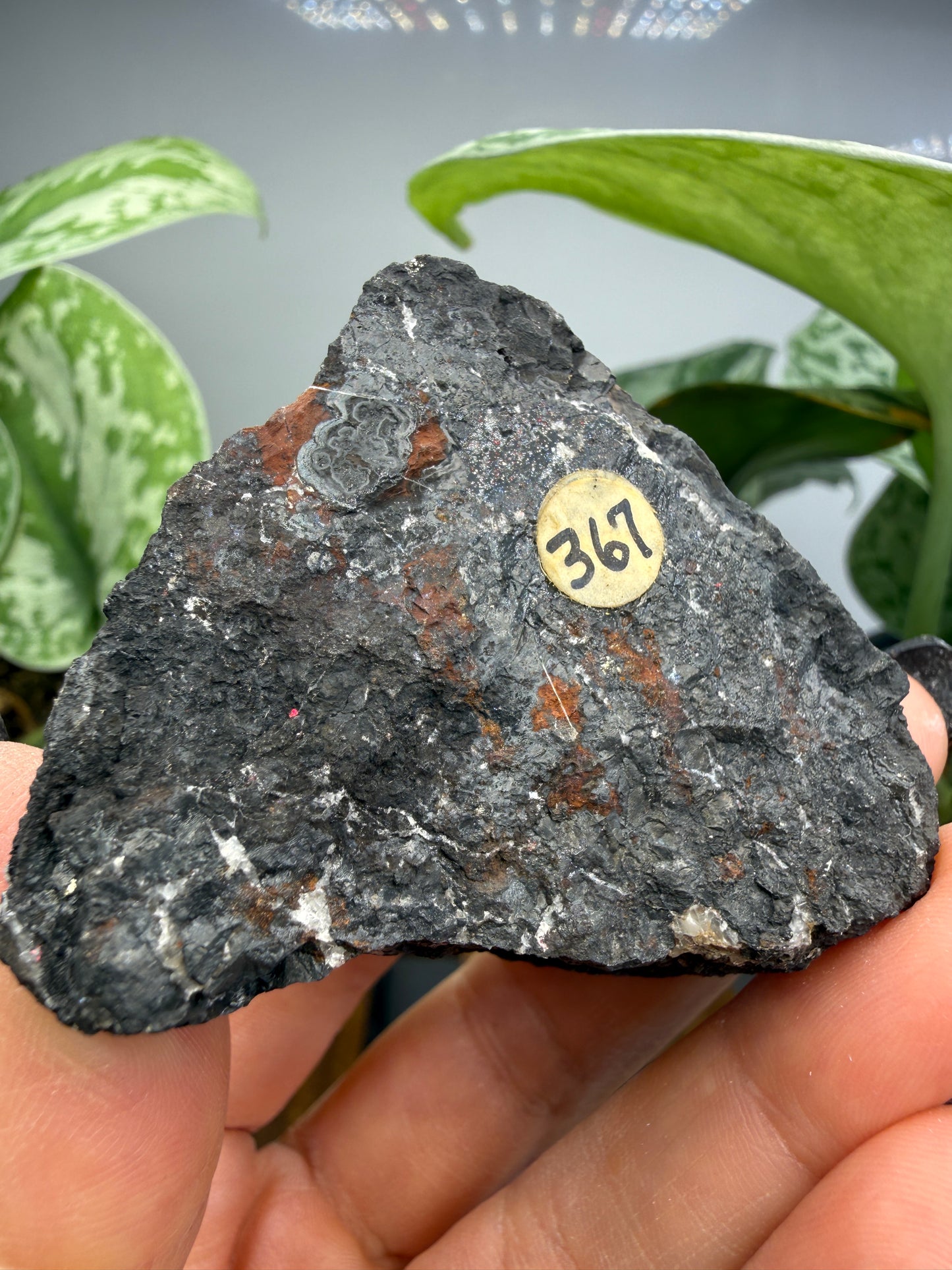Coronadite- Defense Mine, Lookout Mining District, Inyo County, California