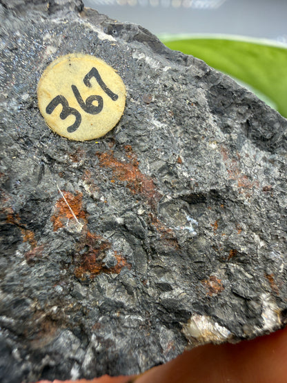 Coronadite- Defense Mine, Lookout Mining District, Inyo County, California