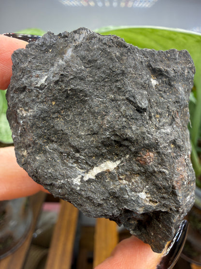 Coronadite- Defense Mine, Lookout Mining District, Inyo County, California