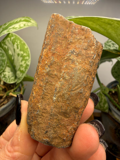 Chiastolite- Madera County, California, USA