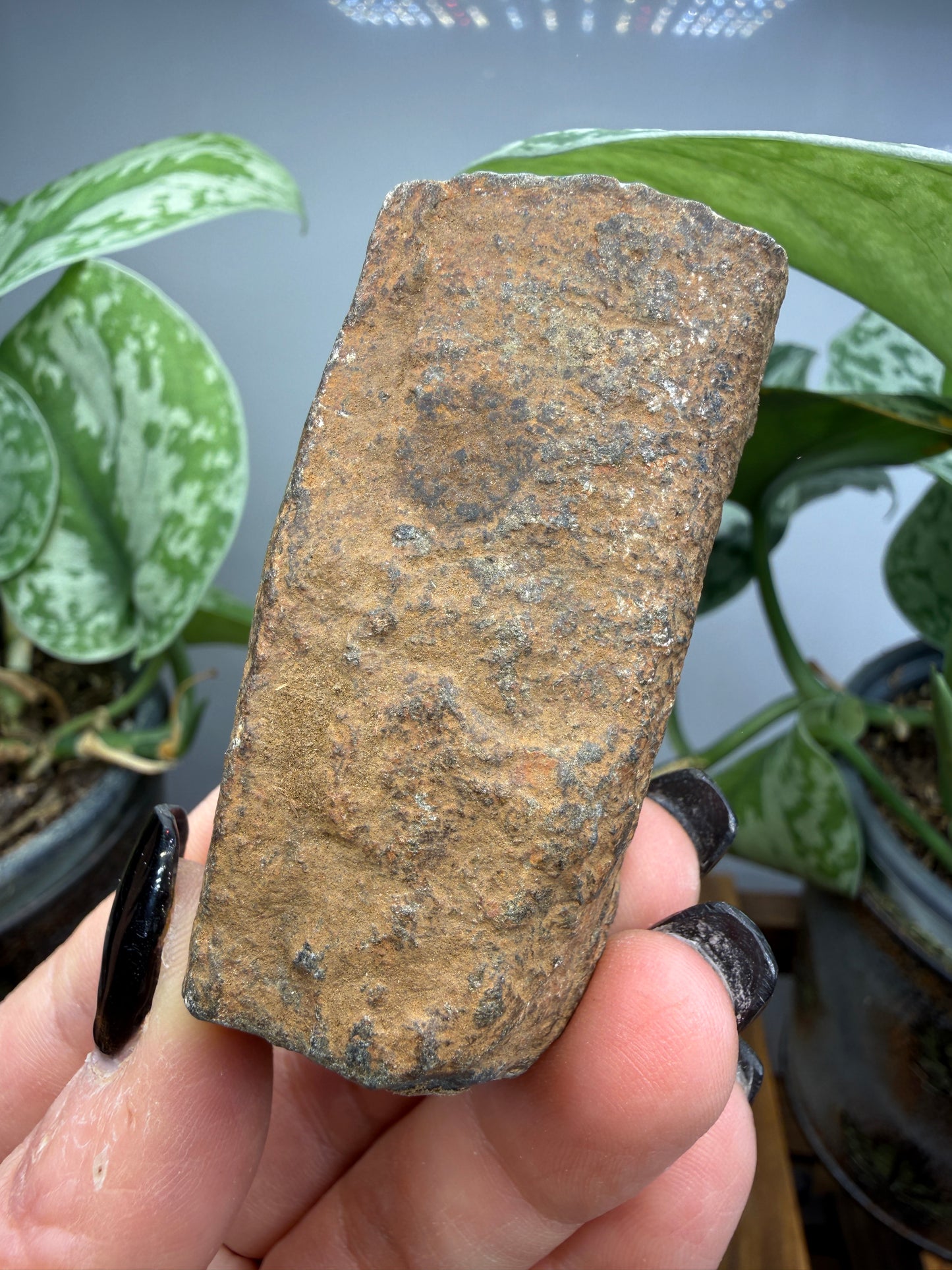 Chiastolite- Madera County, California, USA