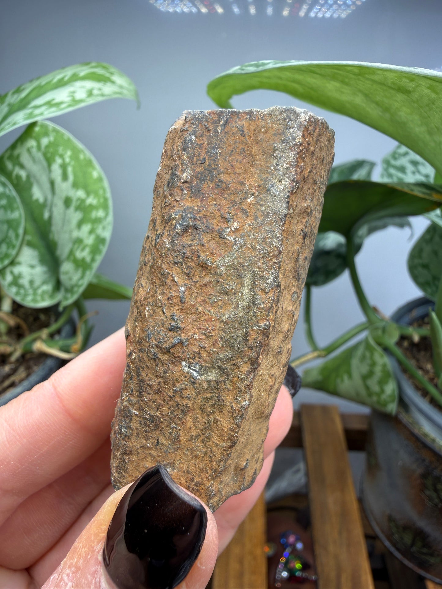 Chiastolite- Madera County, California, USA