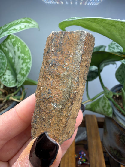Chiastolite- Madera County, California, USA