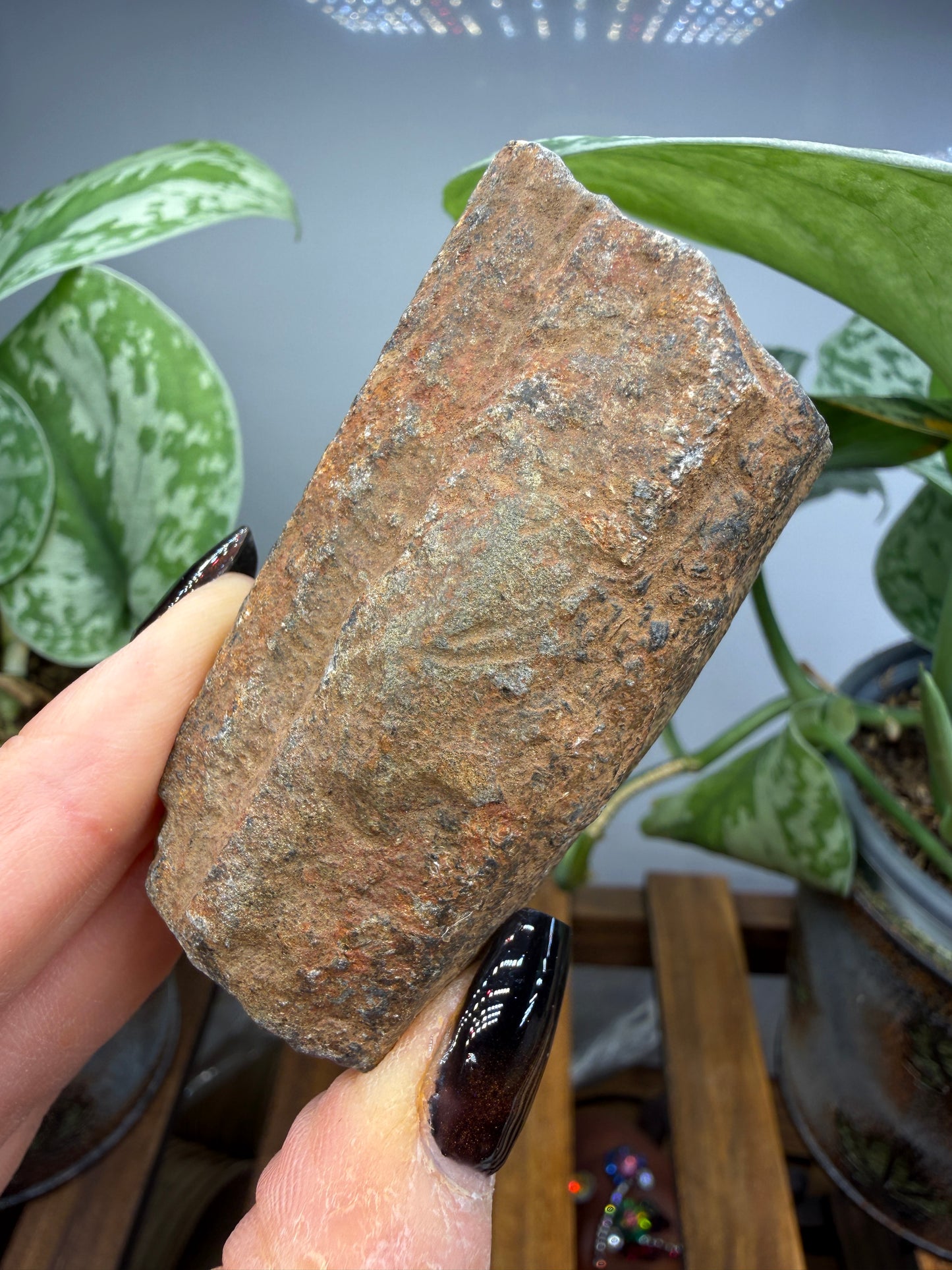 Chiastolite- Madera County, California, USA