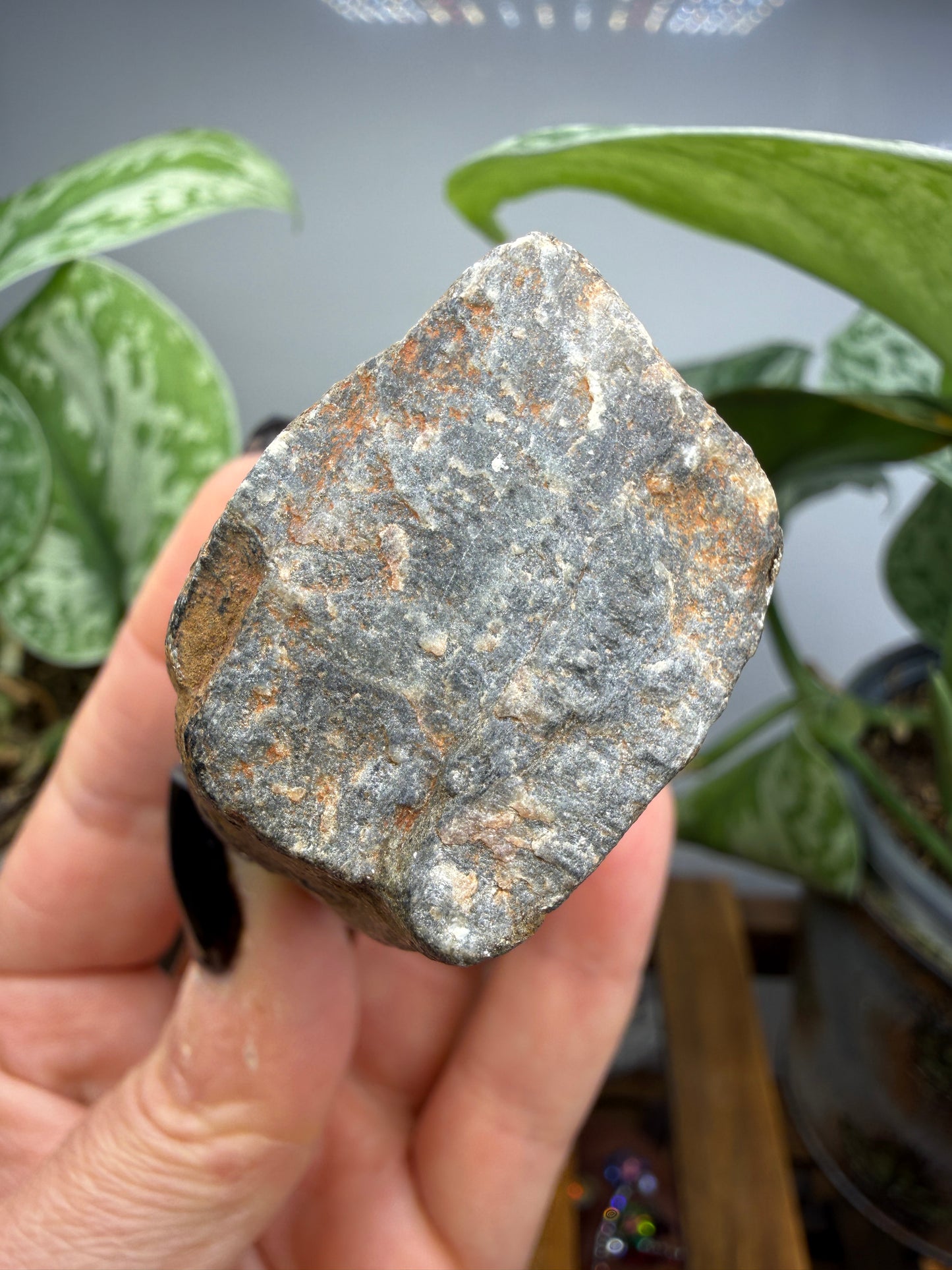 Chiastolite- Madera County, California, USA