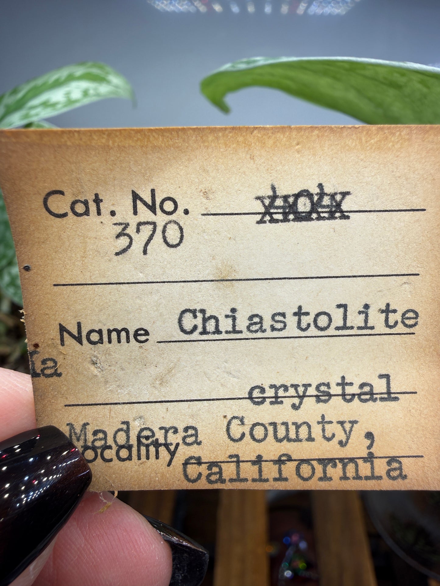 Chiastolite- Madera County, California, USA