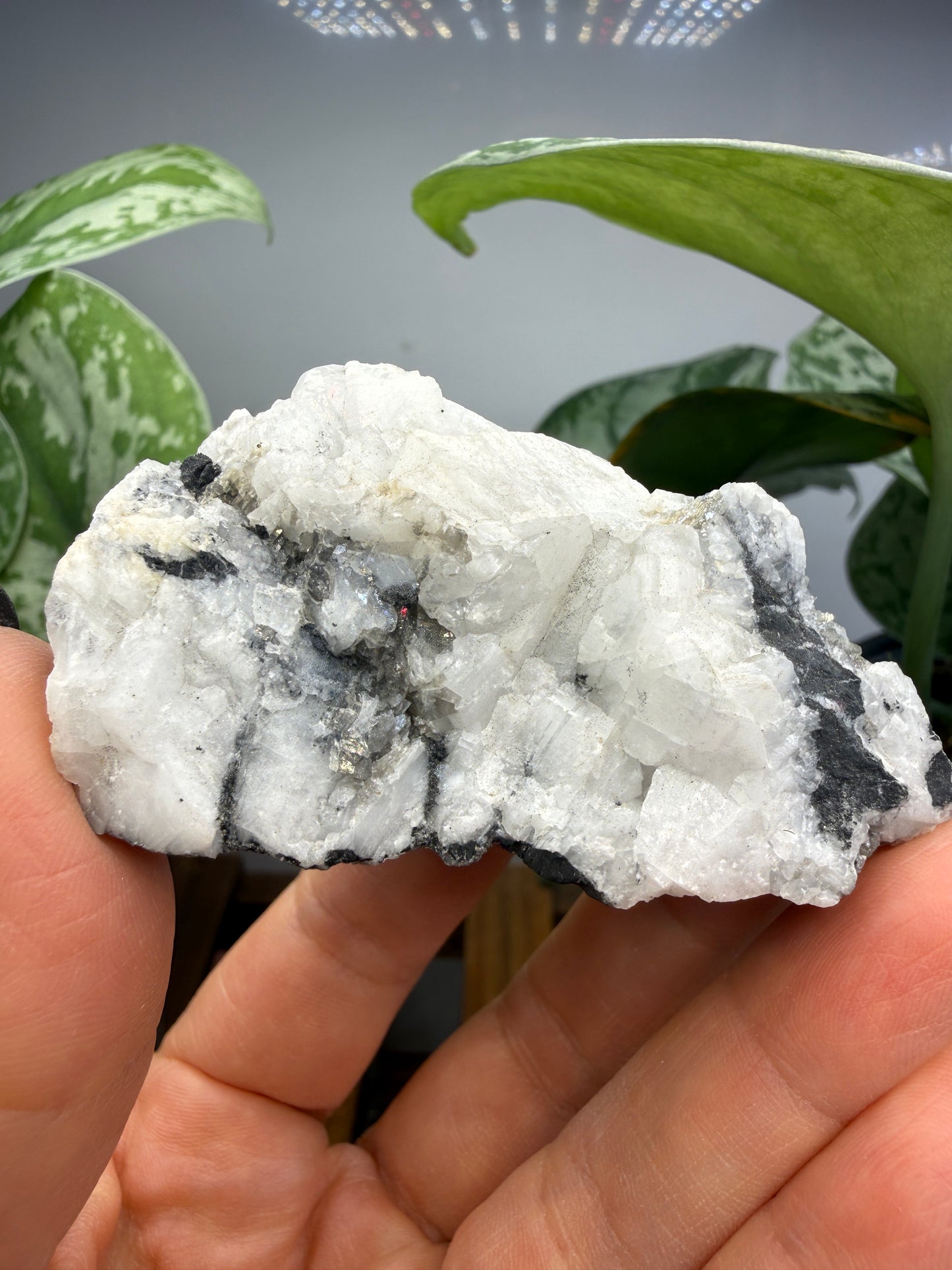 Woodhouseite- Champion Mine, White Mountain Peak, White Mountains, Mono County, California, USA