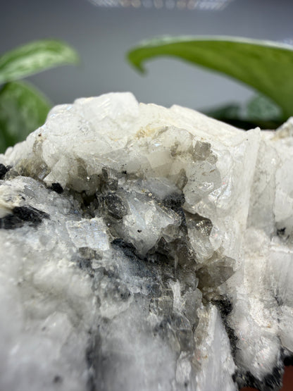 Woodhouseite- Champion Mine, White Mountain Peak, White Mountains, Mono County, California, USA