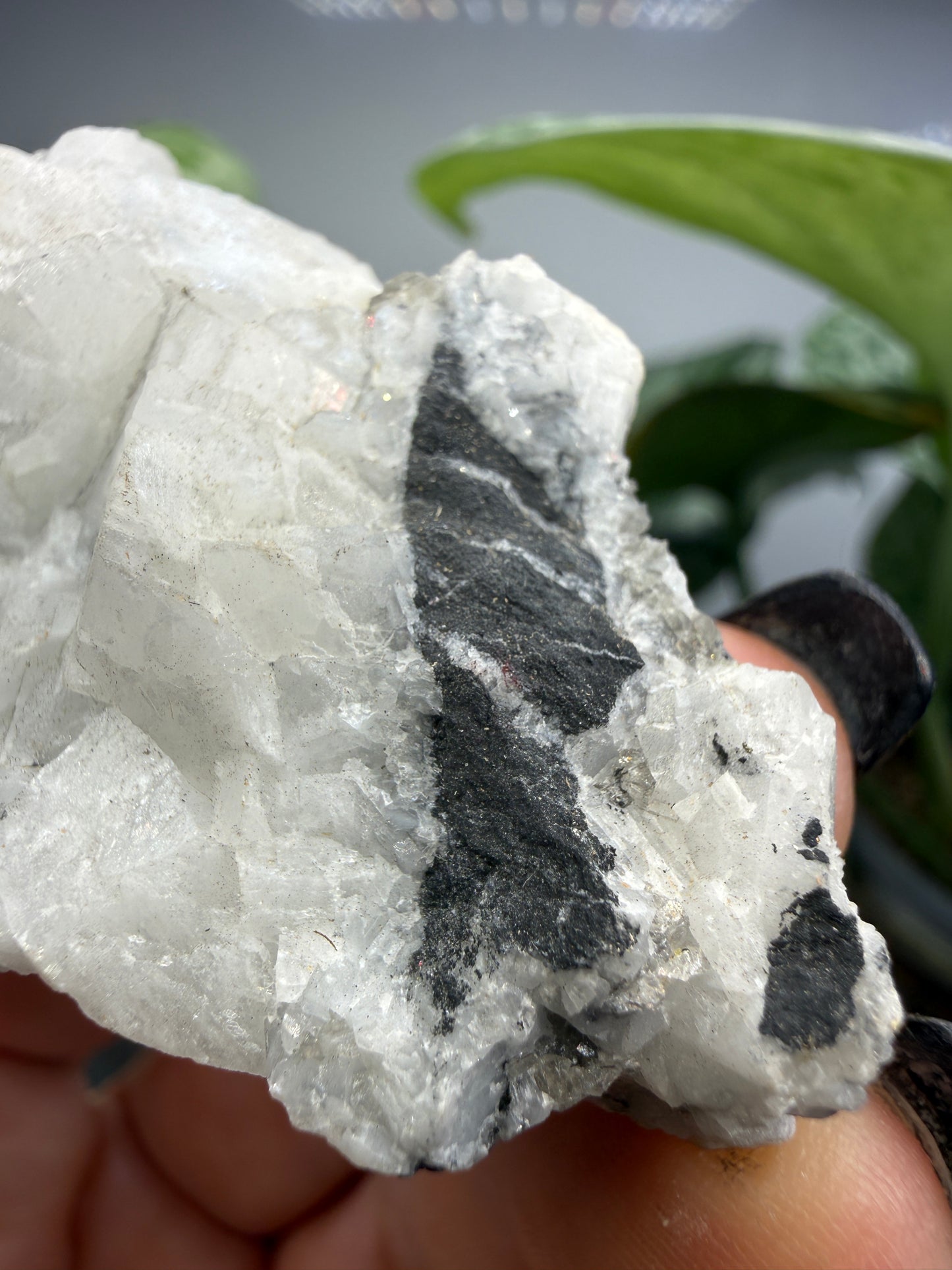 Woodhouseite- Champion Mine, White Mountain Peak, White Mountains, Mono County, California, USA