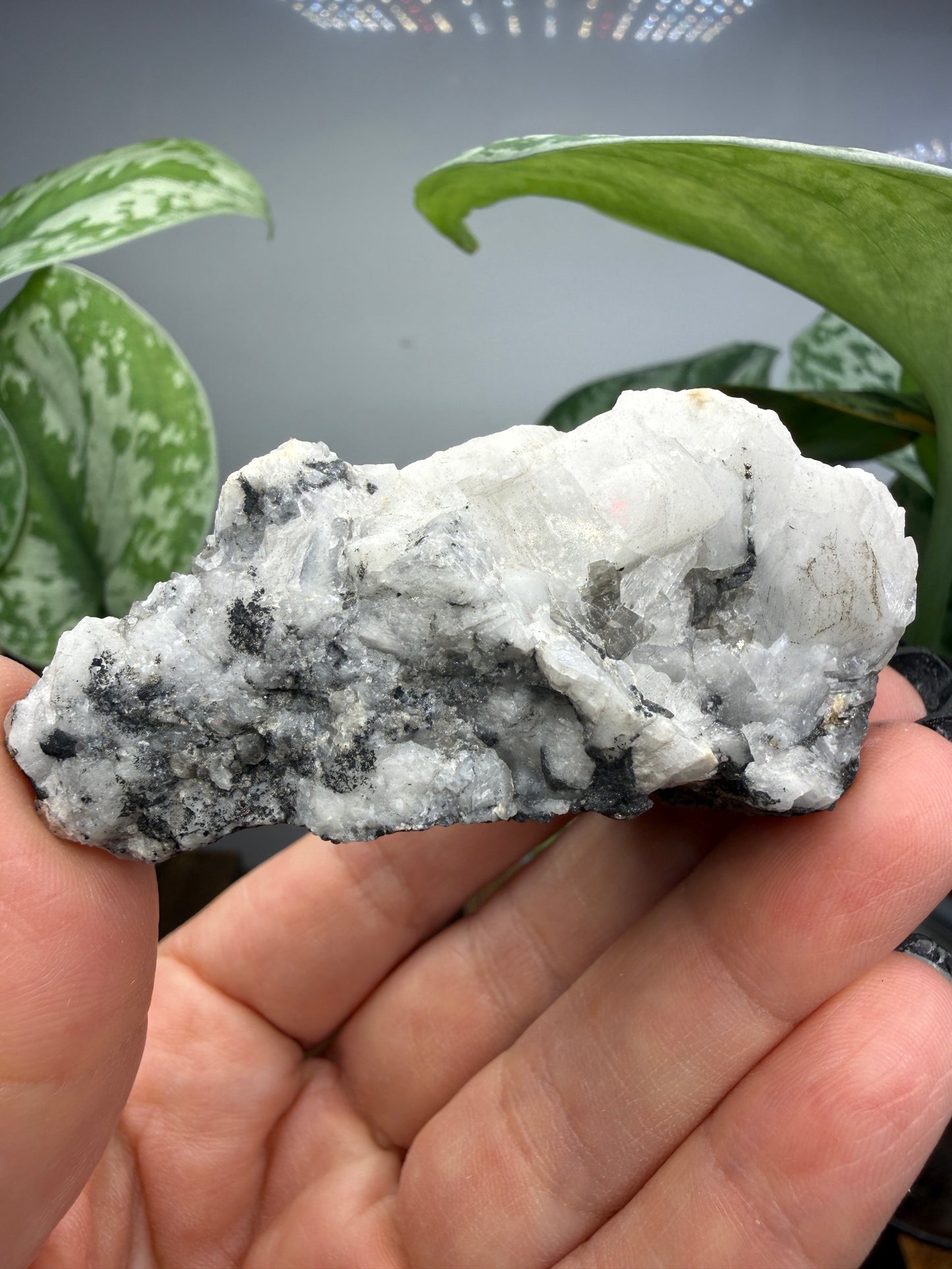 Woodhouseite- Champion Mine, White Mountain Peak, White Mountains, Mono County, California, USA