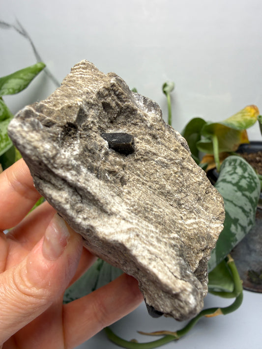 Dolomite var. Teruelite- Barranco del Salobral (Barranco del Nabo), Teruel, Aragón, Spain