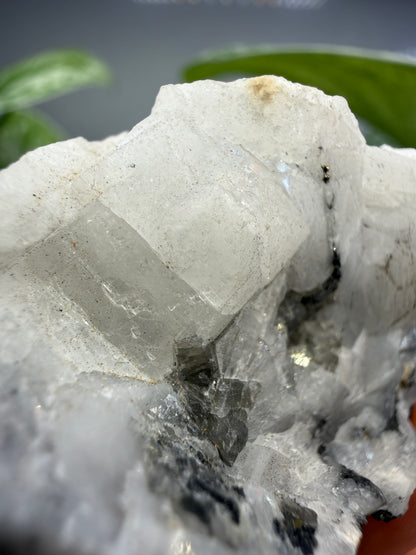 Woodhouseite- Champion Mine, White Mountain Peak, White Mountains, Mono County, California, USA
