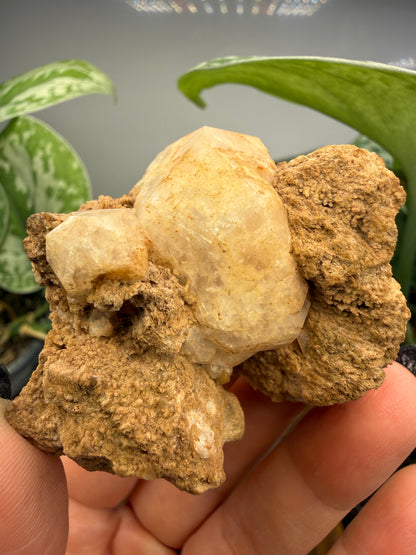 Analcime- Nova Scotia, Canada