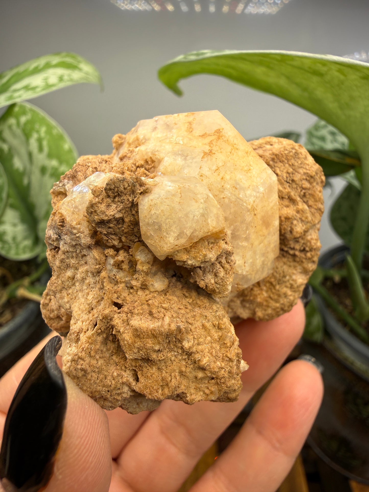 Analcime- Nova Scotia, Canada