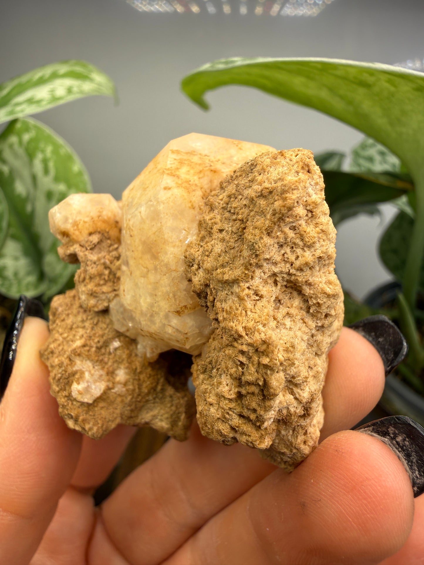 Analcime- Nova Scotia, Canada