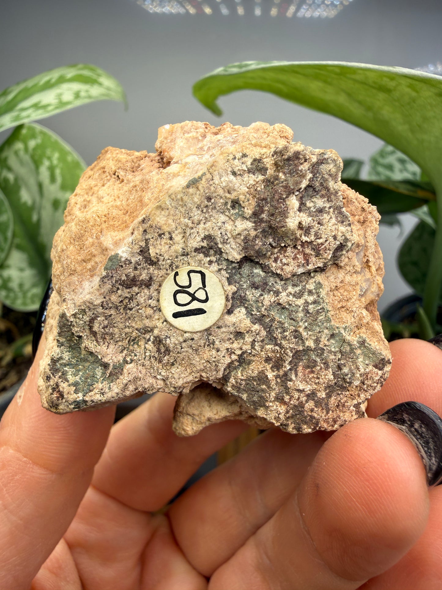 Analcime- Nova Scotia, Canada