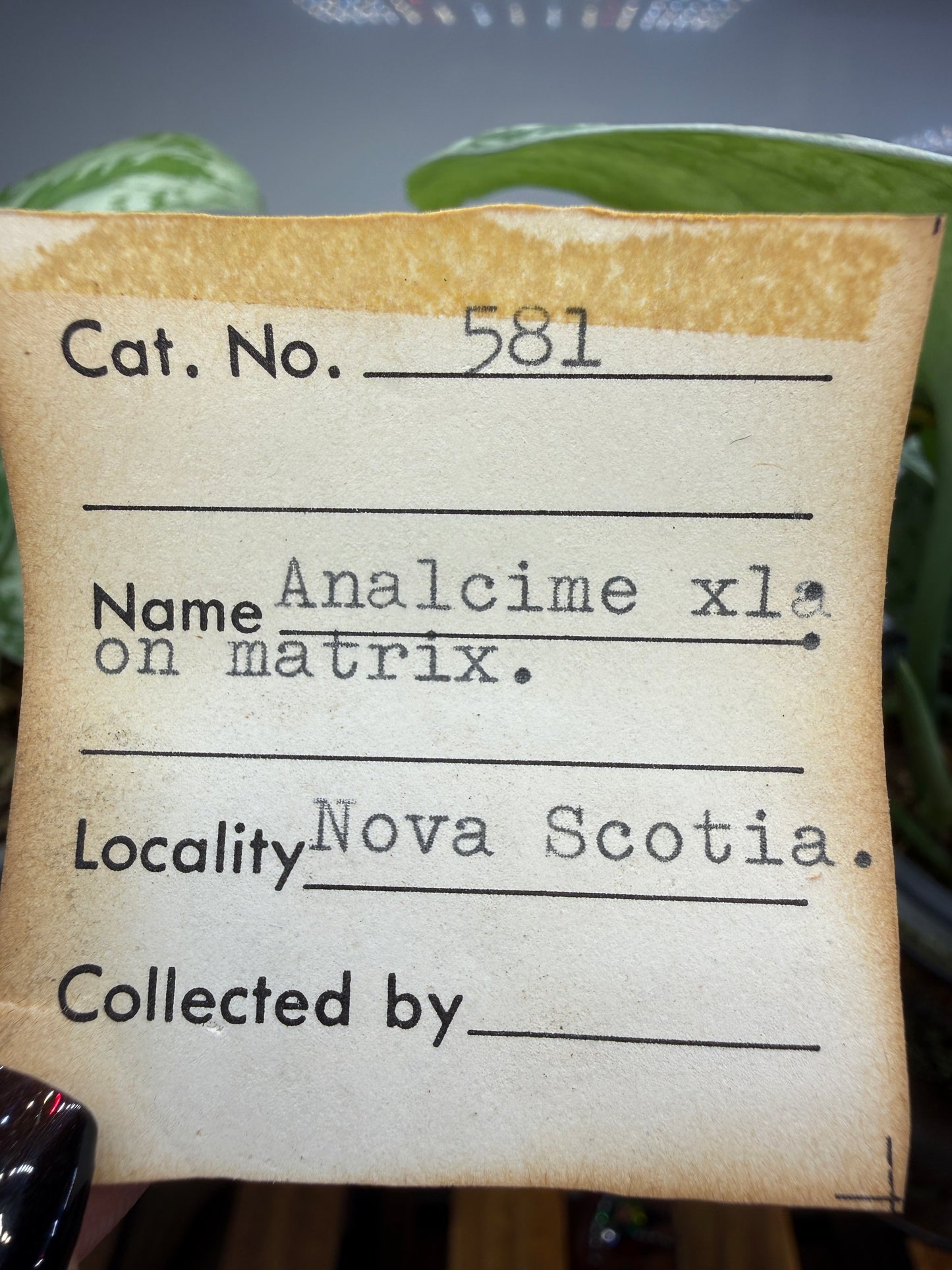 Analcime- Nova Scotia, Canada