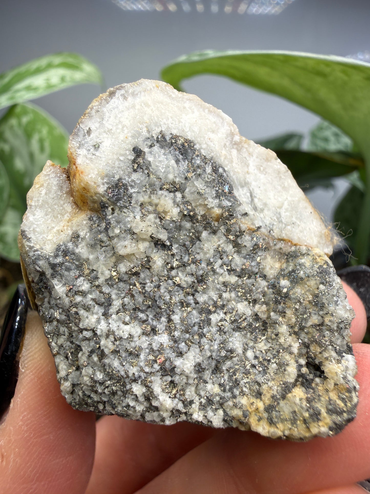 Altaite on Quartz- Saguache County, Colorado, USA
