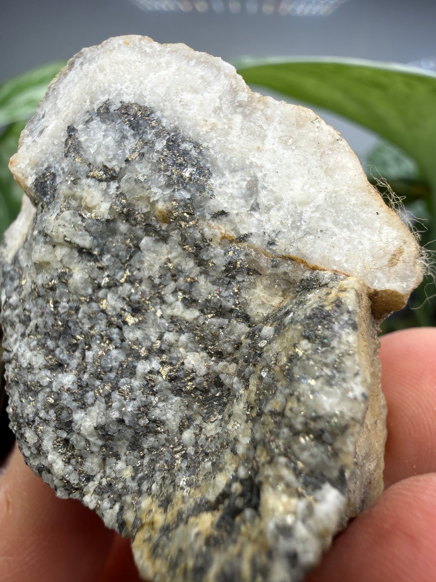 Altaite on Quartz- Saguache County, Colorado, USA