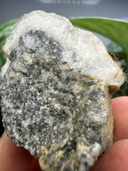 Altaite on Quartz- Saguache County, Colorado, USA
