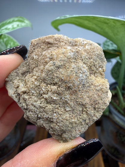 Altaite on Quartz- Saguache County, Colorado, USA