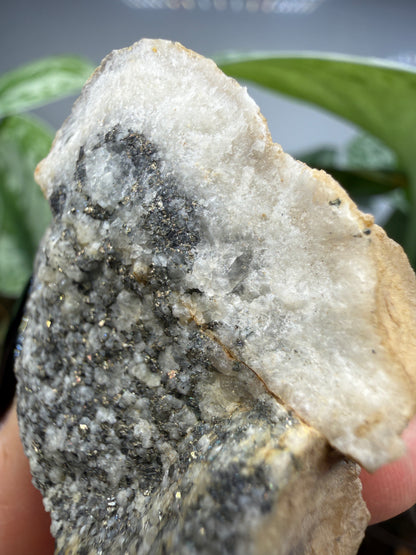 Altaite on Quartz- Saguache County, Colorado, USA