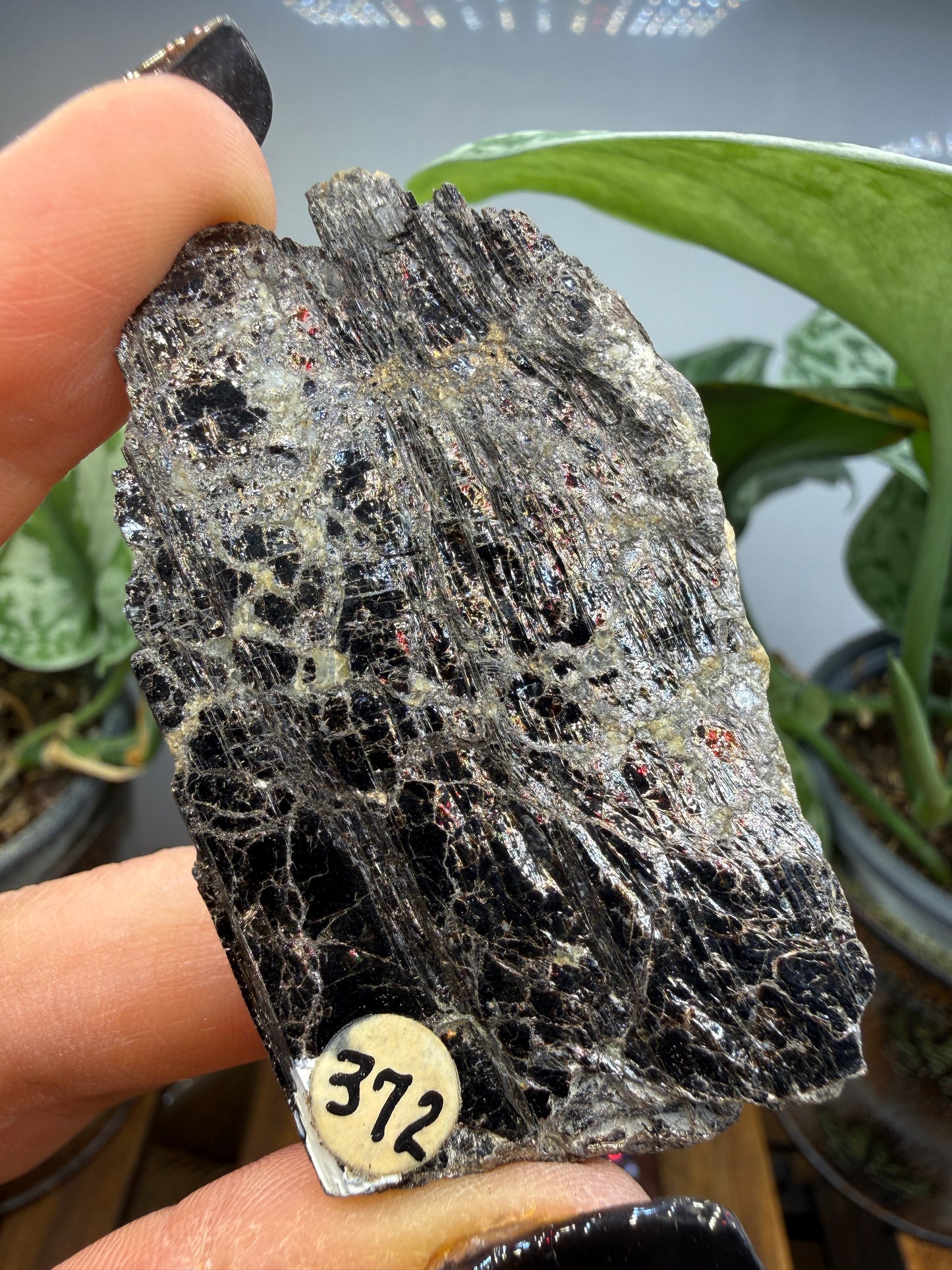 Biotite- North Carolina, USA