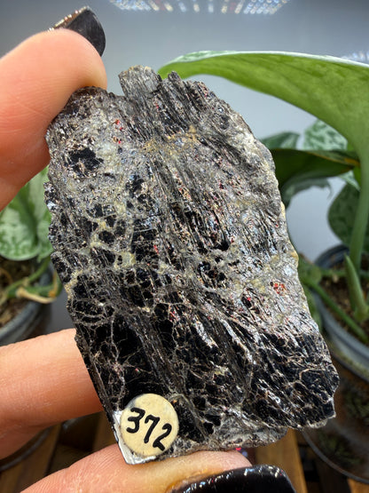 Biotite- North Carolina, USA