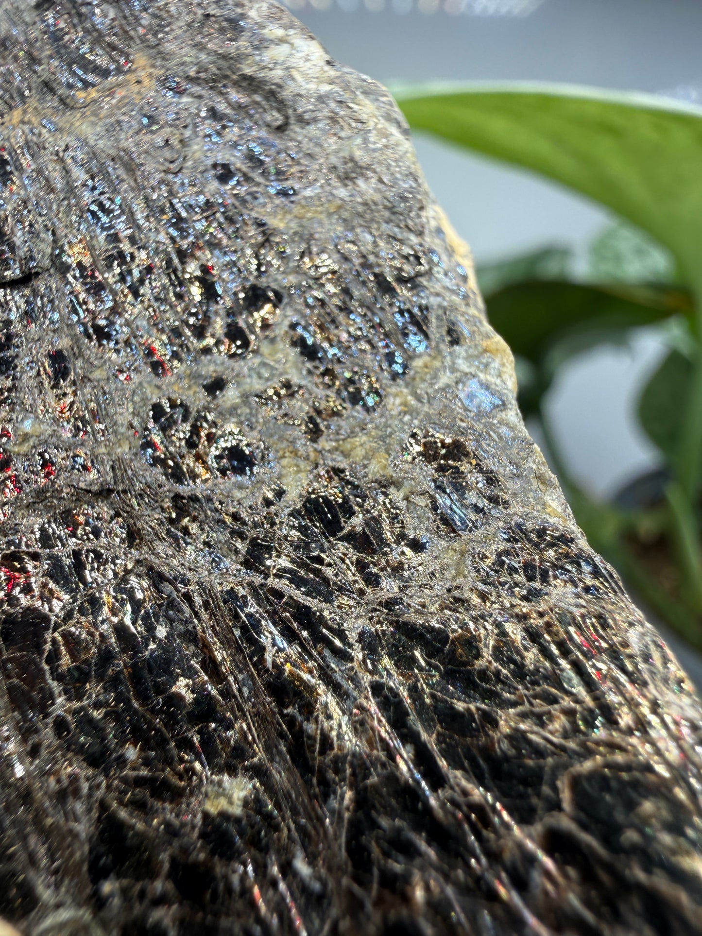 Biotite- North Carolina, USA