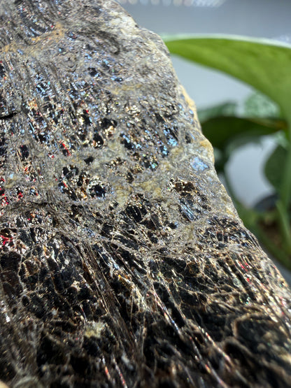 Biotite- North Carolina, USA