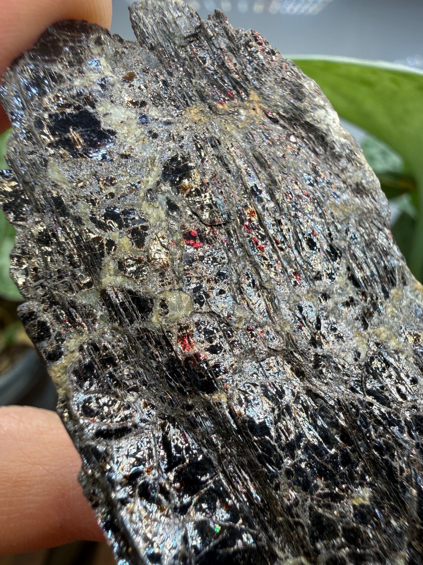 Biotite- North Carolina, USA