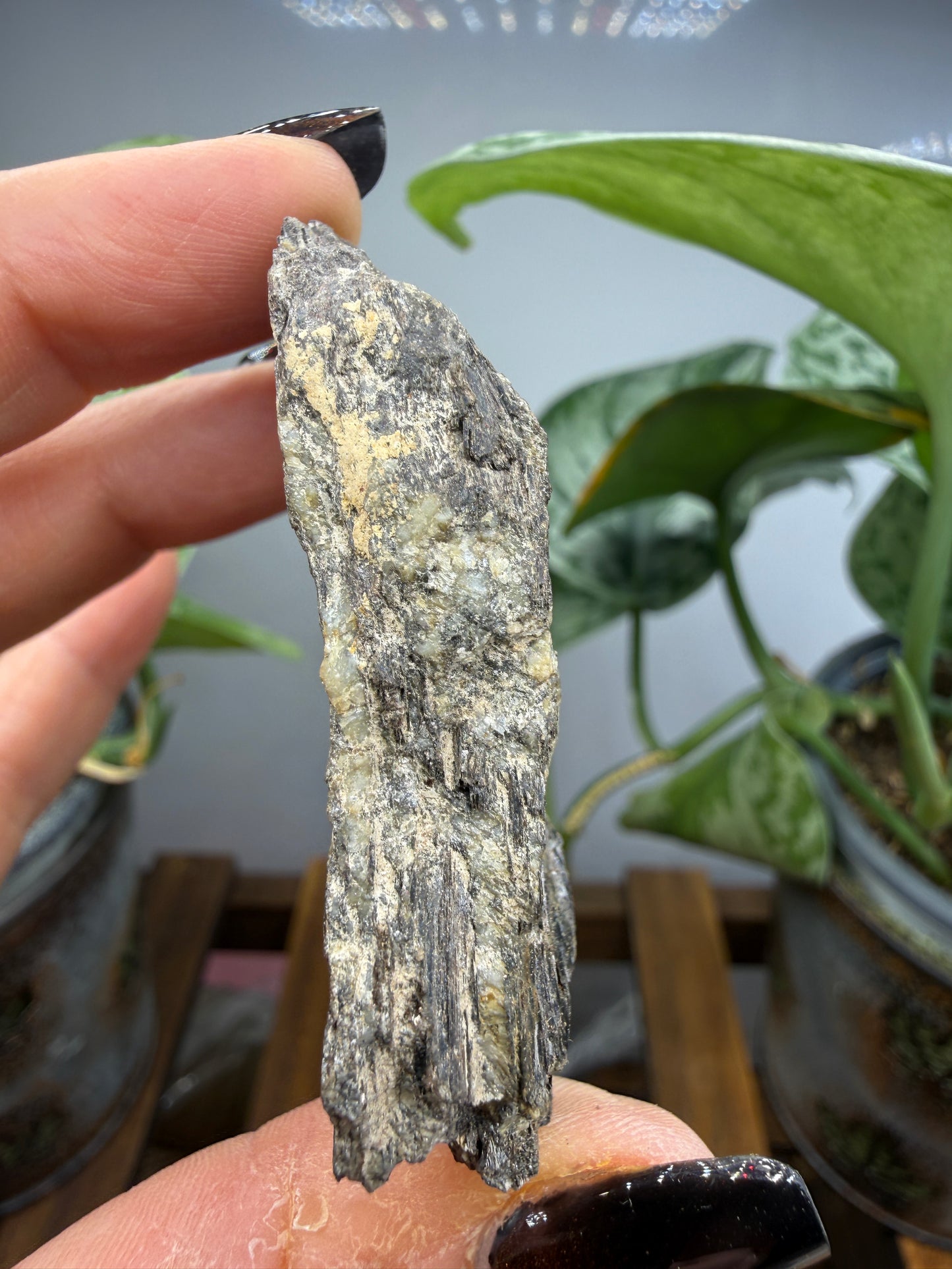 Biotite- North Carolina, USA