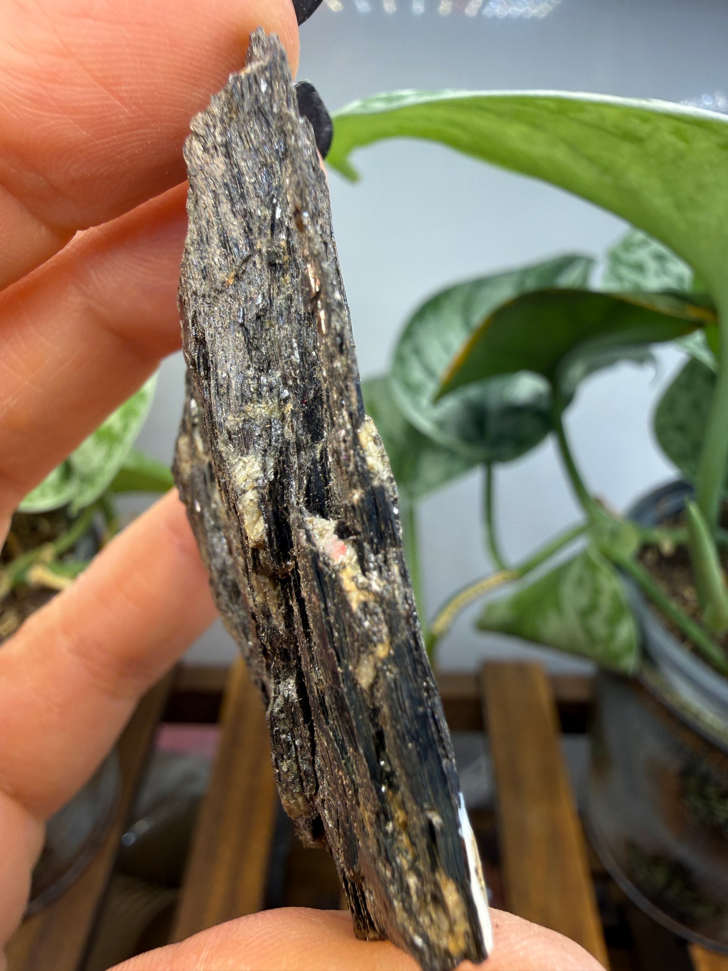 Biotite- North Carolina, USA